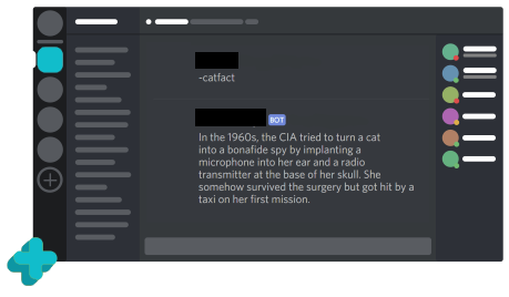 A random cat fact
